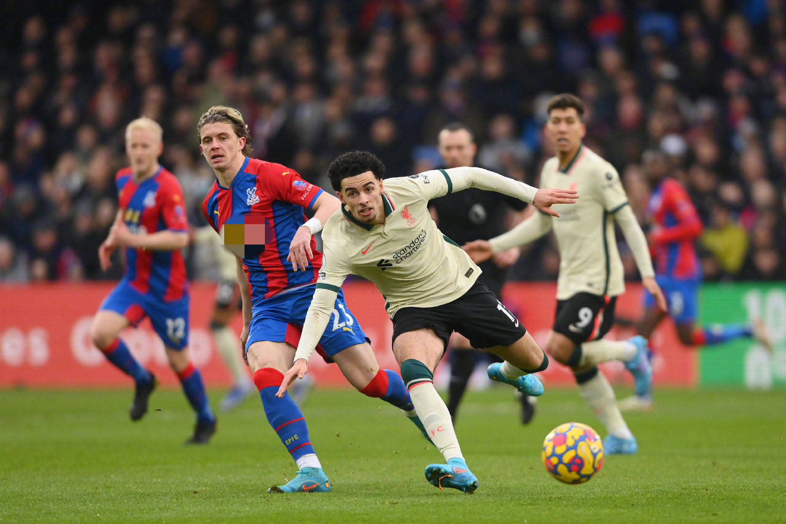 两点展开训 两点展开训